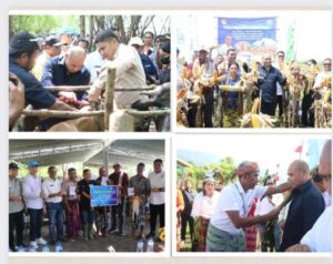 Gubernur NTT Panen Jagung  di Desa Toineke