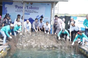 Gubernur NTT dan Menteri KKP Panen Lobster di Mulut Seribu Rote Ndao