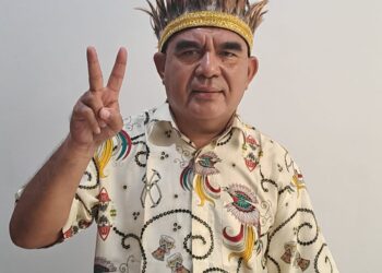 Ketua Solid Papua Desak Komnas Ham Negosiator Bebaskan Pilot Susi Air