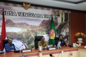 Gubernur NTT Hadiri Penyerahan Anggaran dari Presiden Secara Virtual