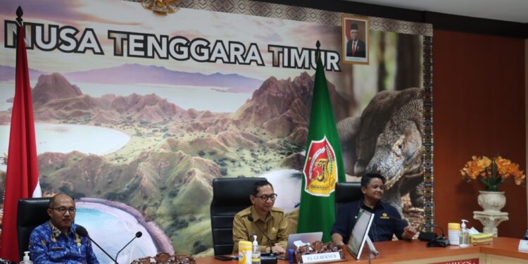 Gubernur NTT Hadiri Penyerahan Anggaran dari Presiden Secara Virtual