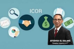 Direktur IRCI Dukung Penjabat Gubernur Hadirkan Investor Bangun NTT