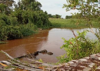 Tumpukan Rumput Ganggu Aliran Sungai