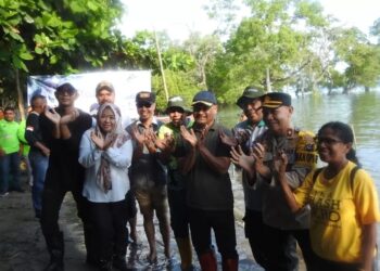 Pemkab Lembata Tanam Mangrove dan Malapari
