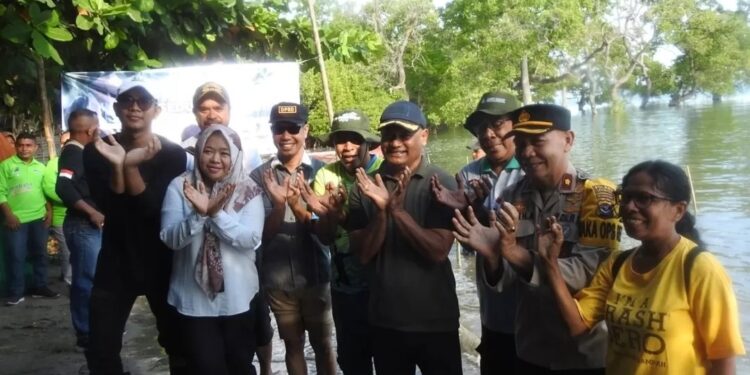 Pemkab Lembata Tanam Mangrove dan Malapari