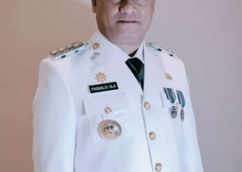 Rm Sinyo Da Gomez : Secara Iman Katolik Tapobali Pilihan Tuhan