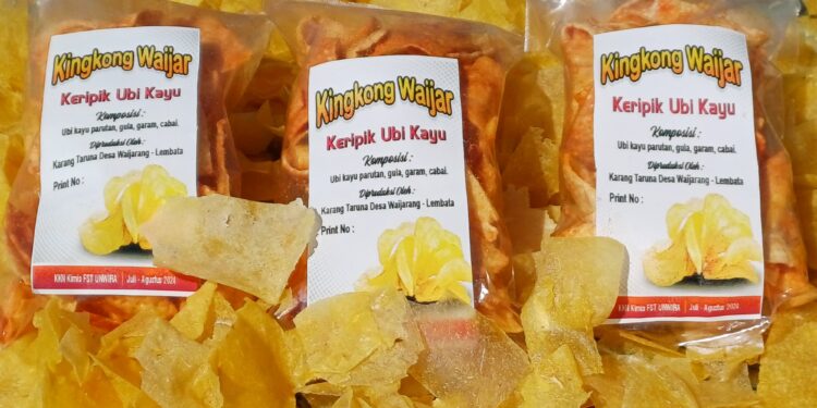 Mahasiswa Kimia FST UNWIRA Produksi Kingkong Waijar dan Tapioka di Waijarang