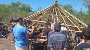 Vinsen Kerong : Bacawabup Lembata Hadir Seremoni Adat Bangun “Nepi Basa”