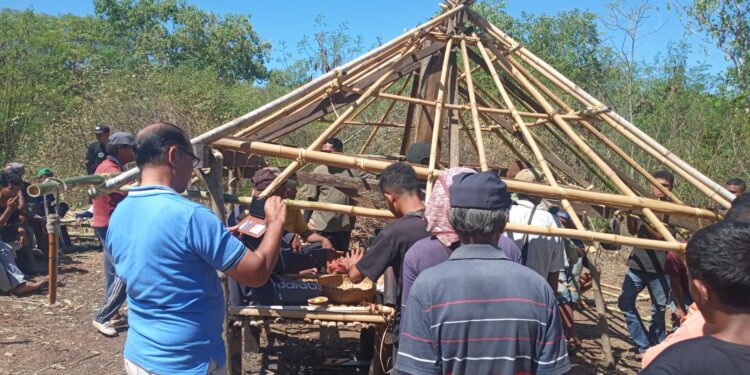 Vinsen Kerong : Bacawabup Lembata Hadir Seremoni Adat Bangun “Nepi Basa”