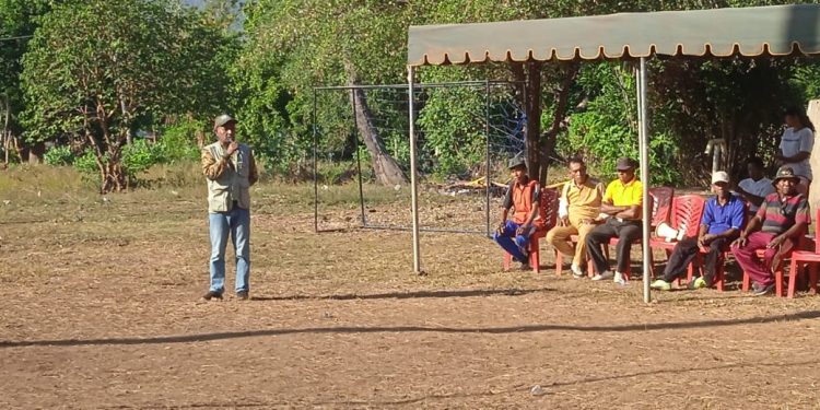 Jelang HUT RI ke-79, Kelurahan Sarotari Gelar Jalan Santai