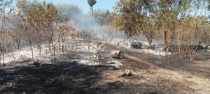 Tim Gabungan Padamkan Kebakaran Lahan di PLTMG Wairita