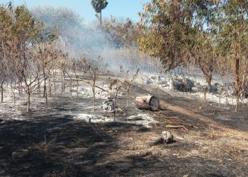 Tim Gabungan Padamkan Kebakaran Lahan di PLTMG Wairita
