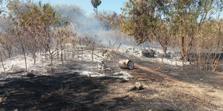 Tim Gabungan Padamkan Kebakaran Lahan di PLTMG Wairita