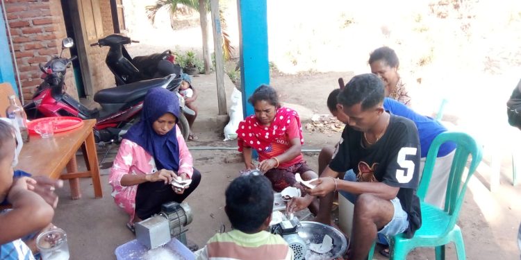 Mahasiswa KKN Prodi Kimia FST UNWIRA Kupang Latih Warga Waijarang Produksi VCO