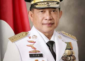 Mendagri : ASN Boleh Hadiri Kampanye, Dilarang Terlibat Aktif