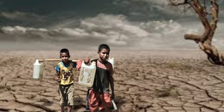 Kemarau dan Kehidupan di Tanah Tandus Ile Boleng