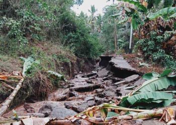 Akses Jalan Lewokurang Putus,  Aktivitas Warga Lumpuh
