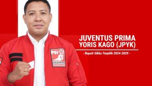 Juventus Prima Yoga Kago Bupati Sikka Terpilih, Staf Ahli Presiden Jokowi, Punya Rekam Jejak Internasional