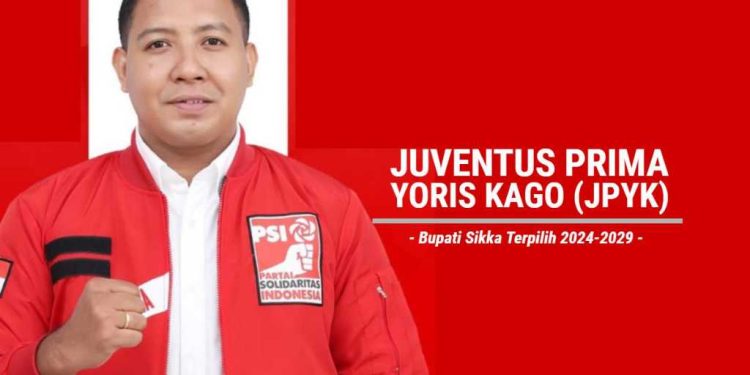 Juventus Prima Yoga Kago Bupati Sikka Terpilih, Staf Ahli Presiden Jokowi, Punya Rekam Jejak Internasional