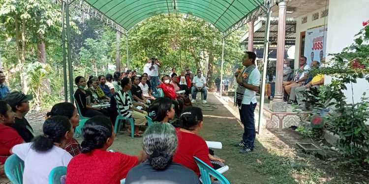 Tim Sukses Kumpul KTP Janji Uang Jutaan, Resahkan Warga di Sikka