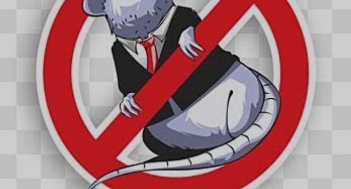 Aliansi Masyarakat Anti Korupsi Kabupaten Ende Desak Usut Dugaan Korupsi Dana KONI