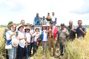 Gubernur NTT Andriko Tingkatkan Produksi Pertanian Padi di TTS