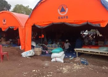 Pengungsi Lewotobi Segera Dipulangkan, Sambut Musim Tanam