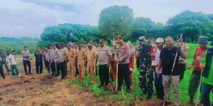 Kapolres Lembata Tanam Jagung Sejuta Hektar Program Prabowo di Desa Rumang