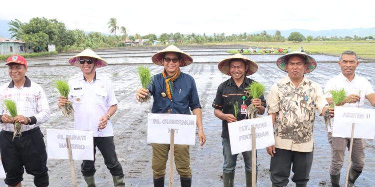 Gubernur NTT : “Nagekeo Punya Potensi Dukung Lumbung Pangan Nasional”