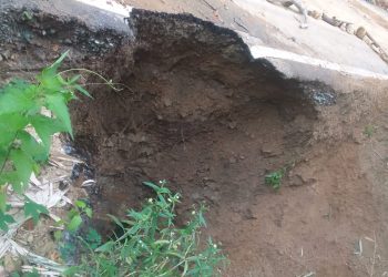 Jalan Puukungu – Maukaro Nyaris Putus Akibat Longsor, Ansel Minta Dinas PU Ende Tangani