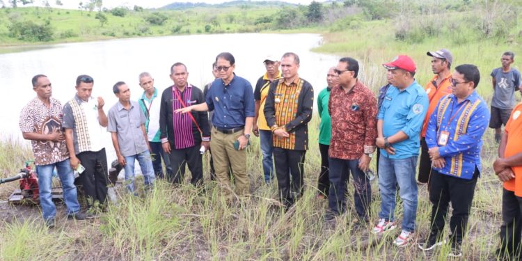 Gubernur NTT : Produktivitas Lahan Harus ditingkatkan Untuk Swasembada Pangan