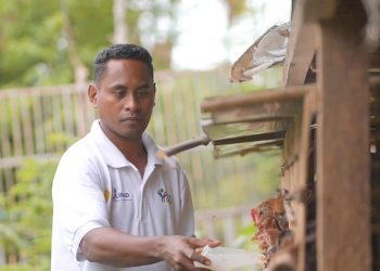 Afro Farm II : Membangkitkan Semangat Beternak Ayam KUB di Flores Timur