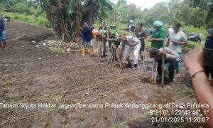 Tanam Serentak Sejuta Hektar Jagung di Wulanggitang : Wujud Dukung Swasembada Pangan 2025