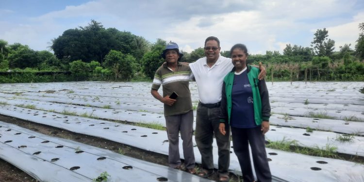 Yohanes Lalang, Menjadi Petani Contoh di Kupang