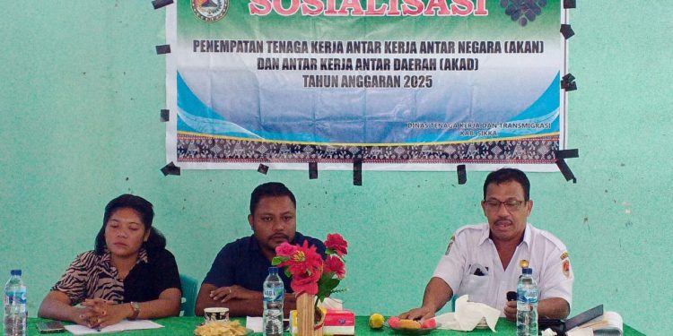 Disnakertrans Sikka Gencar Sosialisasi AKAN dan AKAD di Empat Desa