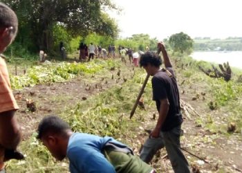 Dosen UNWIRA Kupang Buka Demplot Wisata Agrosalt di Waijarang