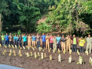 Bupati Flotim Anton Doni Dihen Tinjau Kebun Percontohan di Desa Sagu