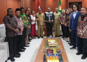 Gubernur -Wagub NTT Terima Pimpinan Komite II DPD RI