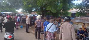 Polres Sikka Sukses Gerebek Penjudi Sabung Ayam