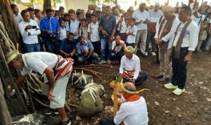 Bupati Kanis-Wabup Nasir disambut Sakral Secara Adat Lamaholot