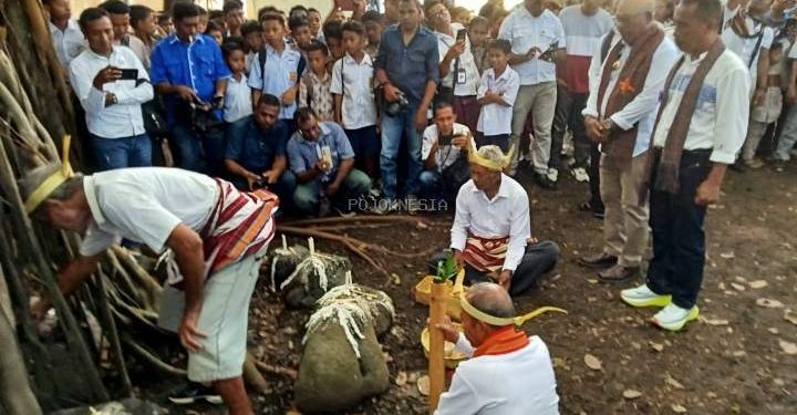 Bupati Kanis-Wabup Nasir disambut Sakral Secara Adat Lamaholot