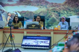 Rapat Geothermal, Pemprov NTT Bentuk Tim Uji Petik Evaluasi Lanjutan