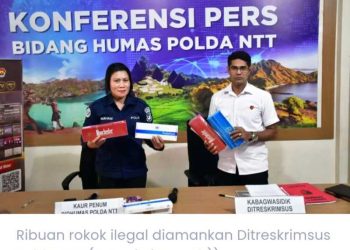 Polda NTT Sita Ribuan Rokok Ilegal Marak Beredar di NTT