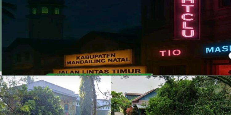 Pemda Madina Tidak Tegas Tertibkan Kafe Berkedok Karaoke  dan Berjualan Miras