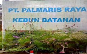 PT. Palmaris Kuasai Lahan Batahan Tanpa Hak Guna Usaha 