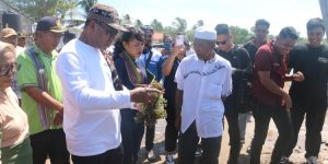 Wagub Johni Asadoma Panen Rumput Laut di Sulamu – Kupang
