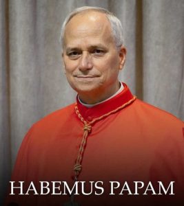 Paus Leo XlV, Pemimpin Umat Katolik Dunia