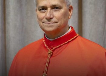 Paus Leo XlV, Pemimpin Umat Katolik Dunia