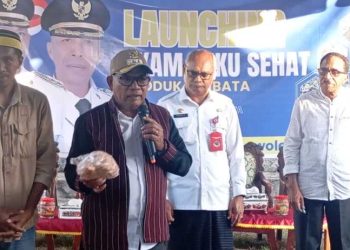 Lembata Produksi Ayam Beku Sehat