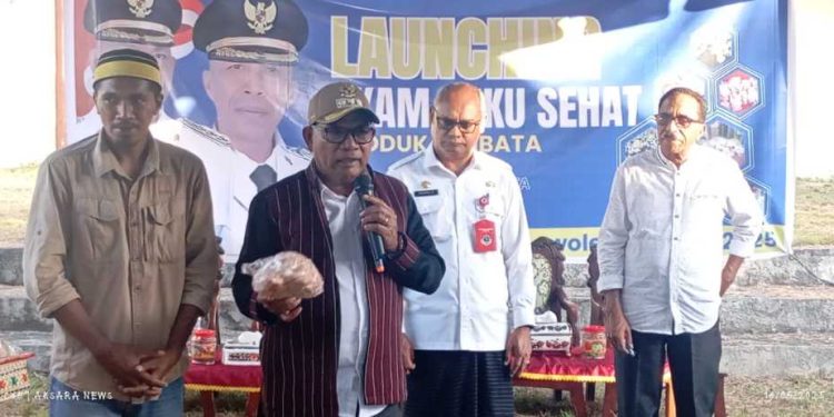 Lembata Produksi Ayam Beku Sehat